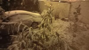 Nieve Colmenar Viejo